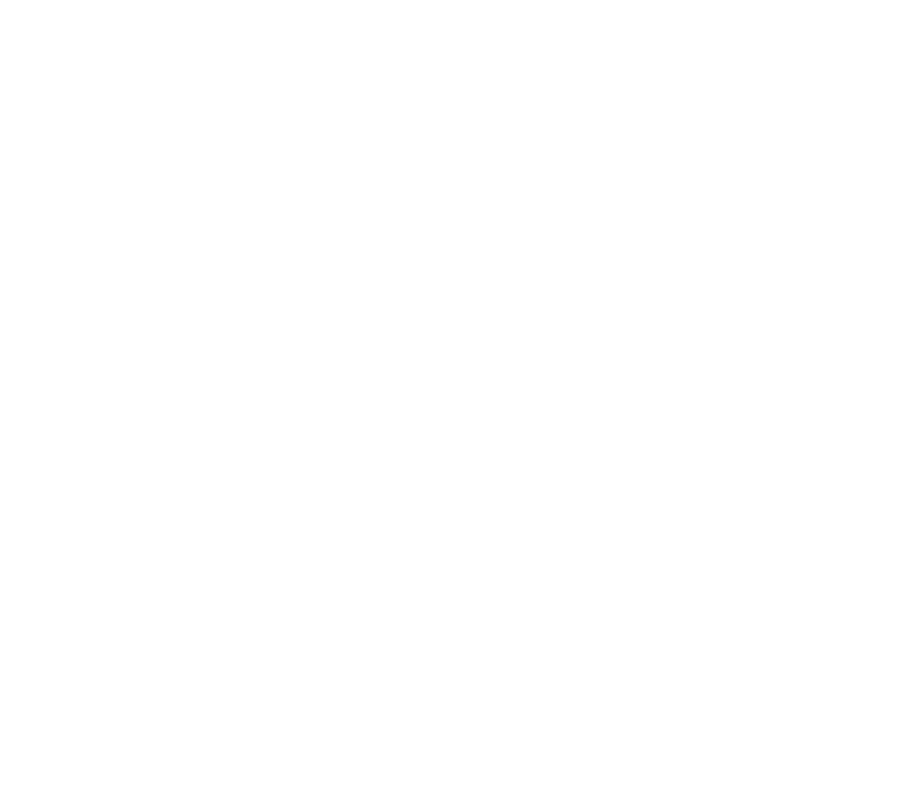 FairyWedding